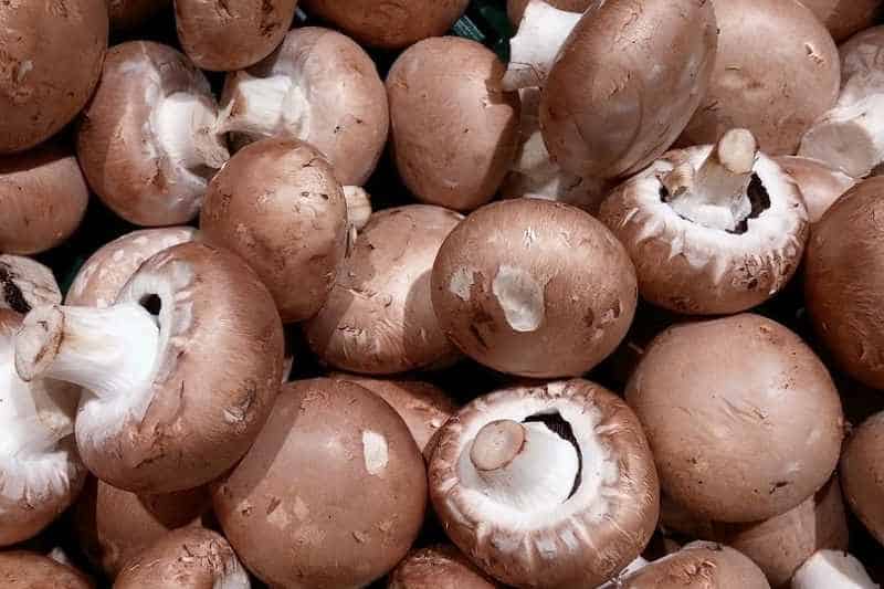 Are Mushrooms Good For You And What Nutrients Do Mushrooms Have