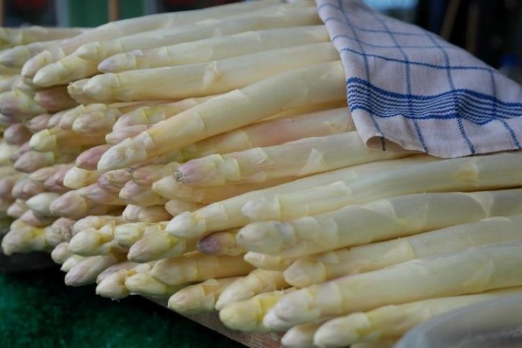 fresh asparagus