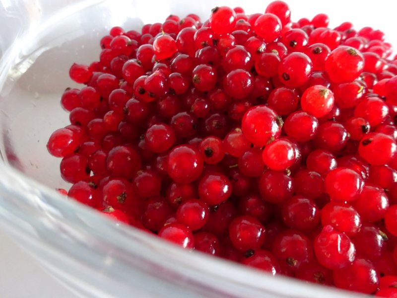 Homemade Red Currant Jelly