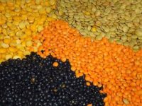 Why Legumes Are The Most Valuable Food Group