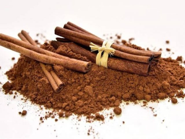Cinnamon – Ceylon vs Cassia Cinnamon